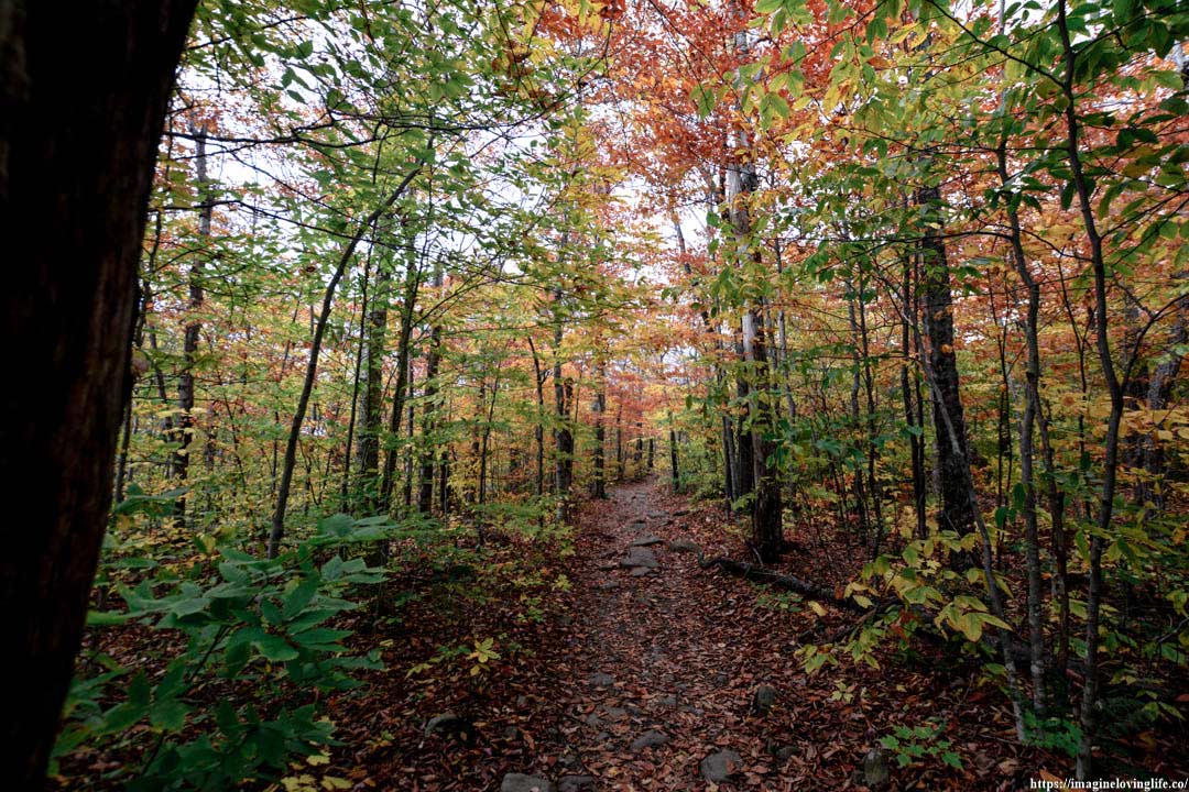 Trail going back